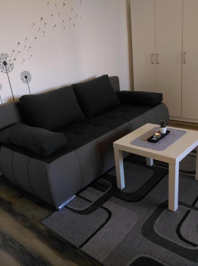 Studio Apartman Zdral Daruvar Exterior foto
