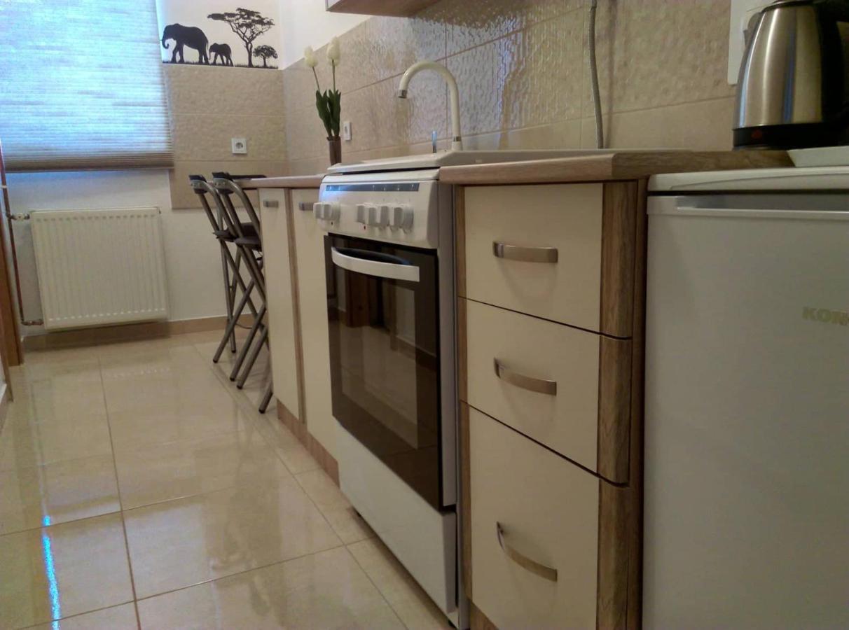 Studio Apartman Zdral Daruvar Exterior foto