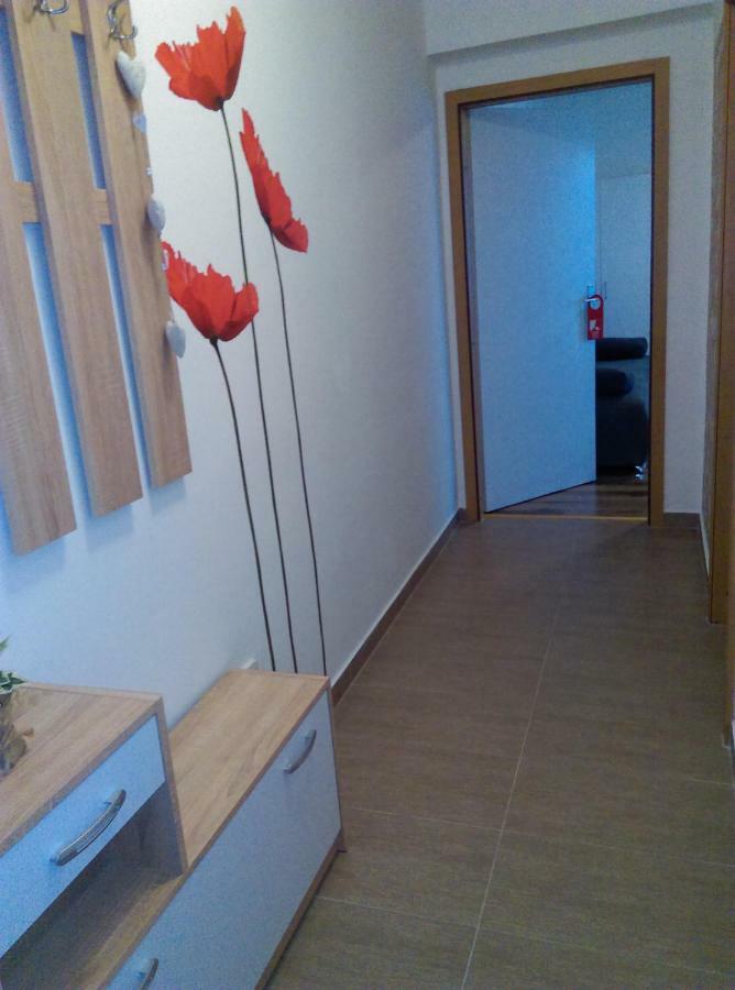 Studio Apartman Zdral Daruvar Exterior foto